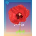 Parfum Coquelicot pour bougies