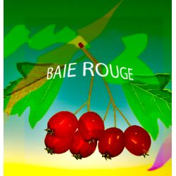 Parfum Baies Rouges pour Bougies