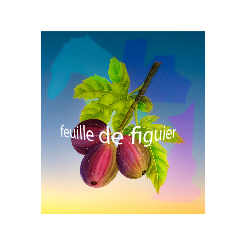 Parfum Feuille de Figuier pour Bougies