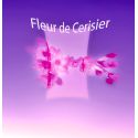 Parfum Fleur de Cerisier pour Bougies