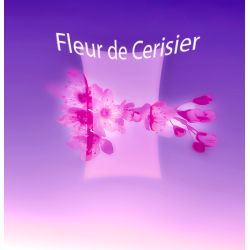 Parfum Fleur de Cerisier pour Bougies