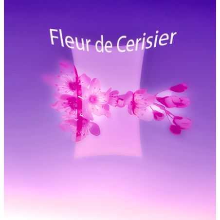 Parfum Fleur de Cerisier pour Bougies
