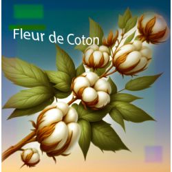 Parfum Fleur de Coton pour Bougies
