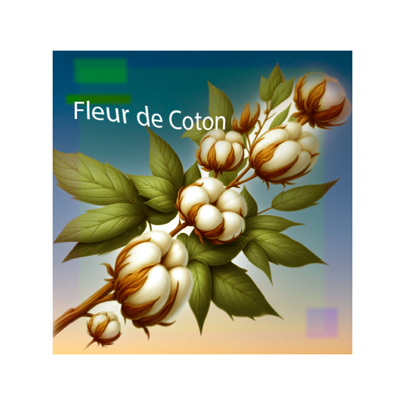 Parfum Fleur de Coton pour Bougies
