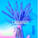 Parfum Lavande pour Bougies