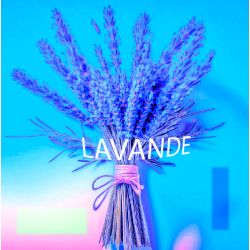 Parfum Lavande pour Bougies