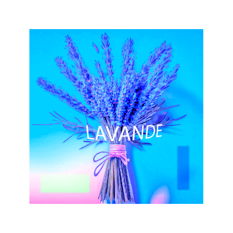 Parfum Lavande pour Bougies