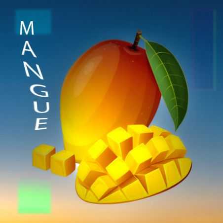 Parfum Mangue pour Bougies