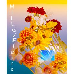 Parfum Mille-Fleurs pour Bougies