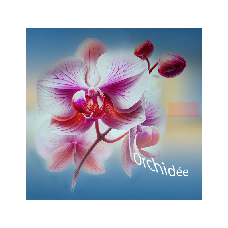 Parfum Orchidée pour Bougies