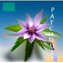 Parfum Patchouli pour Bougies