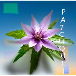 Parfum Patchouli pour Bougies