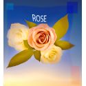 Parfum Rose pour Bougies