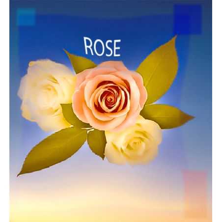 Parfum Rose pour Bougies