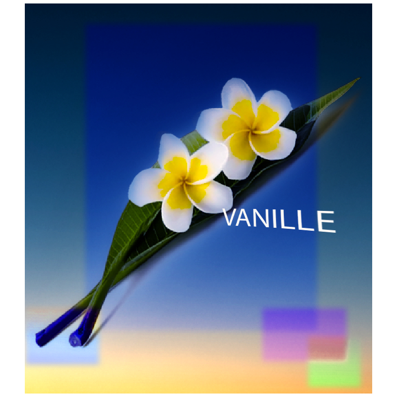 Parfum Vanille pour Bougies