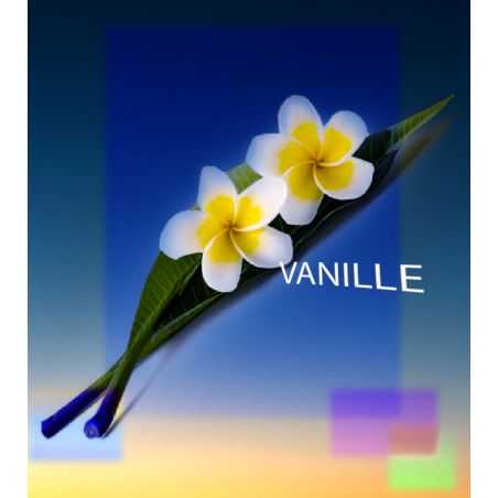 Parfum Vanille pour Bougies