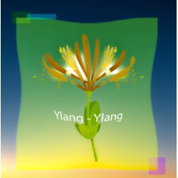 Parfum Ylang-Ylang pour Bougies