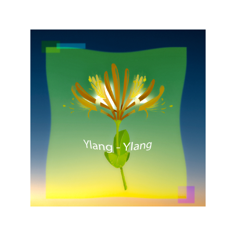 Parfum Ylang-Ylang pour Bougies