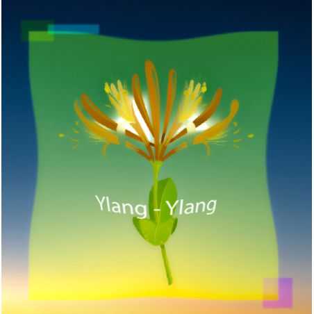 Parfum Ylang-Ylang pour Bougies