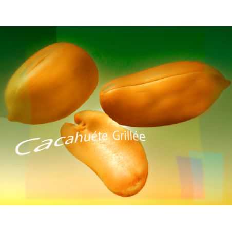 Parfum Cacahuète Grillée pour Bougies
