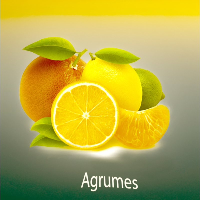 Parfum Agrumes Bougies - MONDO BOUGIES