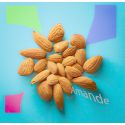 Parfum Amande Bougies - MONDO BOUGIES