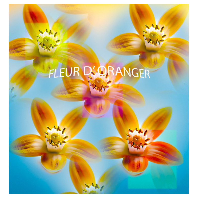 Parfum Fleur d'Oranger Bougies - MONDO BOUGIES