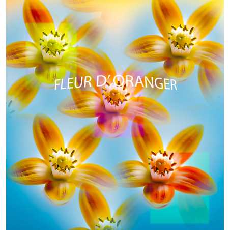 Parfum Fleur d'Oranger Bougies - MONDO BOUGIES