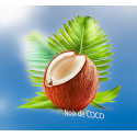 Parfum Noix de Coco Bougies - MONDO BOUGIES