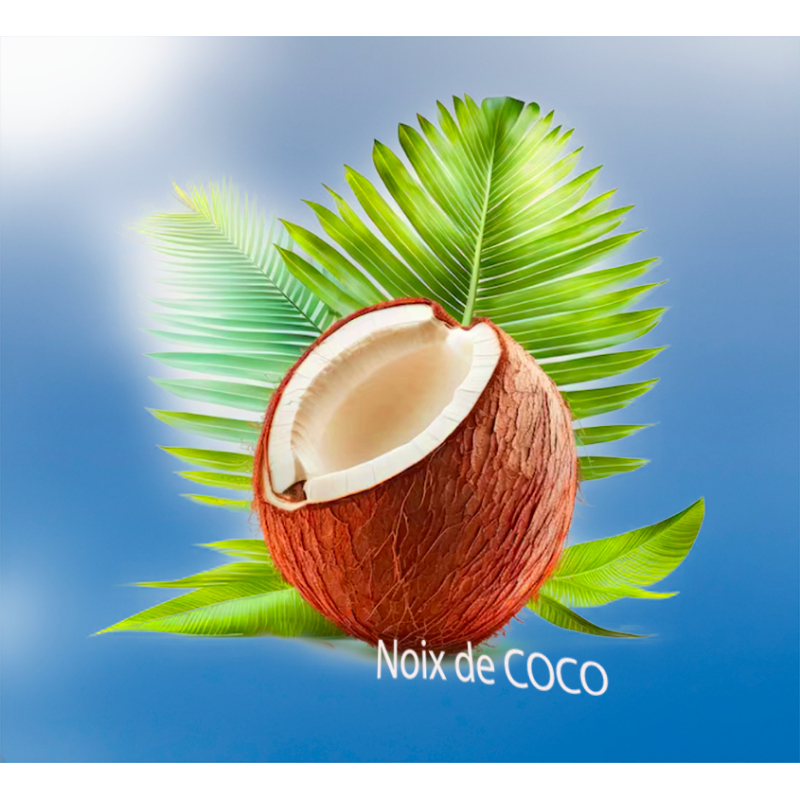 Parfum Noix de Coco Bougies - MONDO BOUGIES