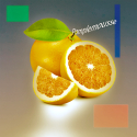 Parfum Pamplemousse Bougies - MONDO BOUGIES