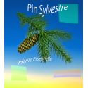 Huile Essentielle Pin Sylvestre pour Bougies