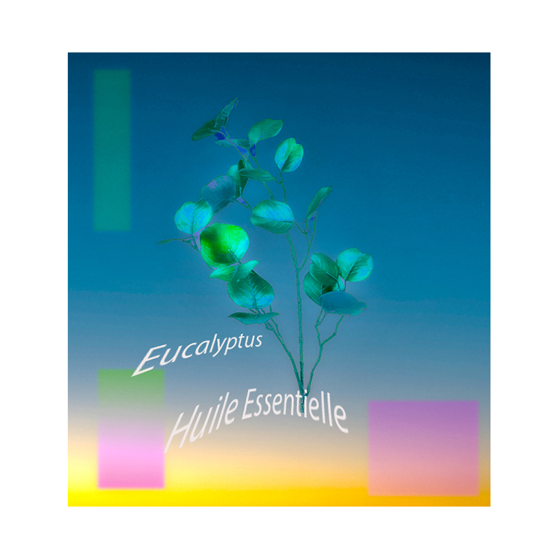 Huile Essentielle Eucalyptus BIO