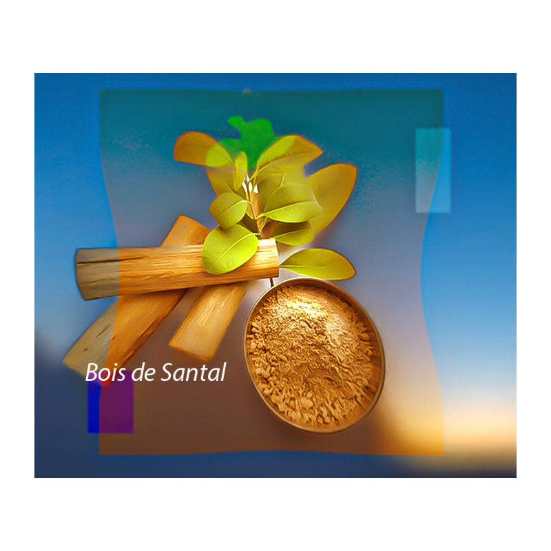 Parfum Bois de Santal Bougies - MONDO BOUGIES