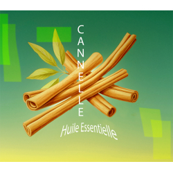 Huile Essentielle Cannelle - MONDO BOUGIES