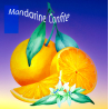 Parfum Mandarine Confite Bougies - MONDO BOUGIES