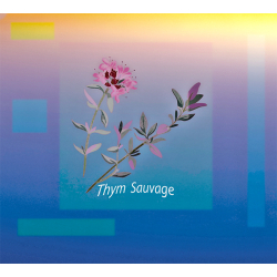 Parfum Thym Sauvage Bougies - MONDO BOUGIES
