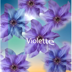 Parfum Violette Bougies - MONDO BOUGIES