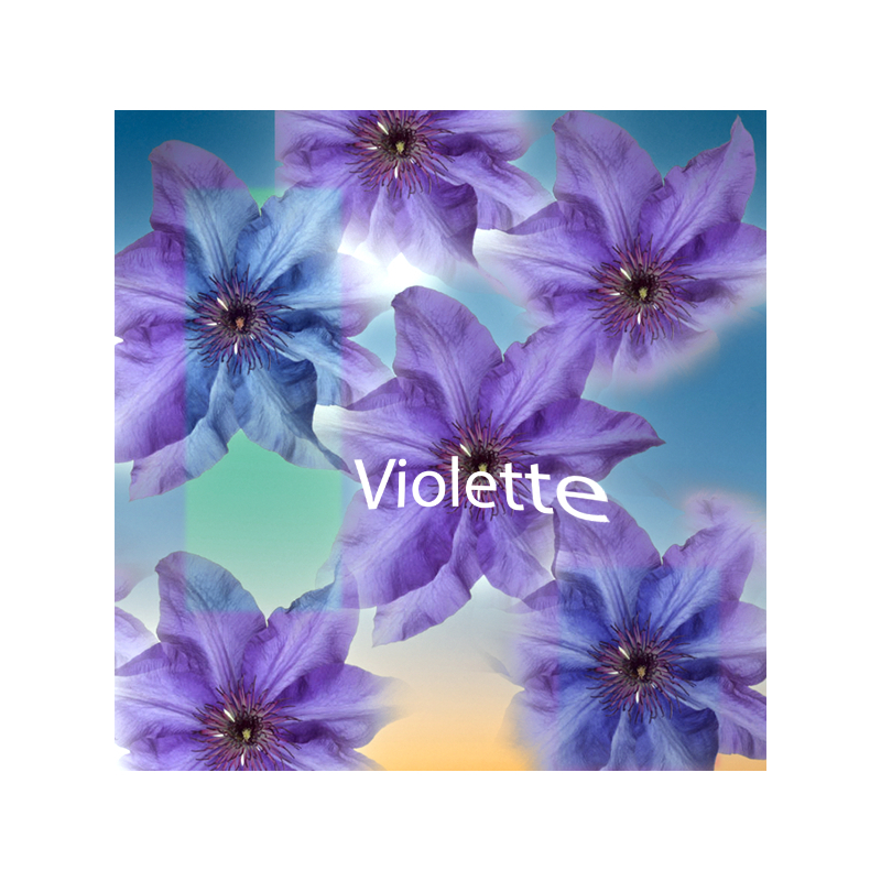 Parfum Violette Bougies - MONDO BOUGIES