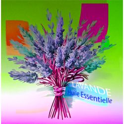 Huile Essentielle Lavande pour bougies - MONDO BOUGIES