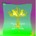 Huile Essentielle Ylang Ylang de Madagascar - MONDO BOUGIES