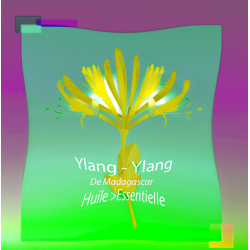Huile Essentielle Ylang Ylang de Madagascar - MONDO BOUGIES