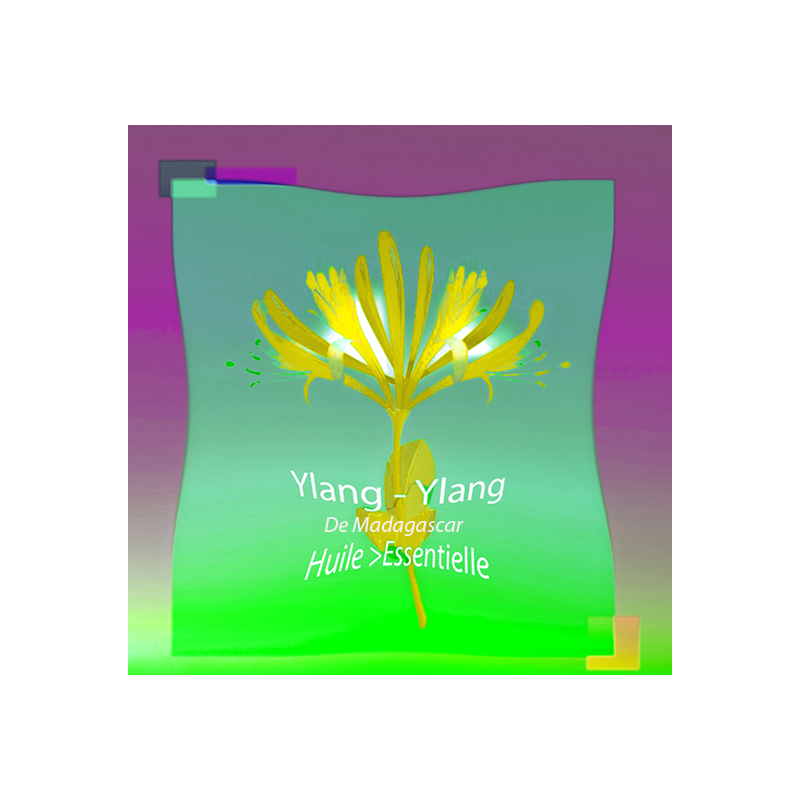 Huile Essentielle Ylang Ylang de Madagascar - MONDO BOUGIES
