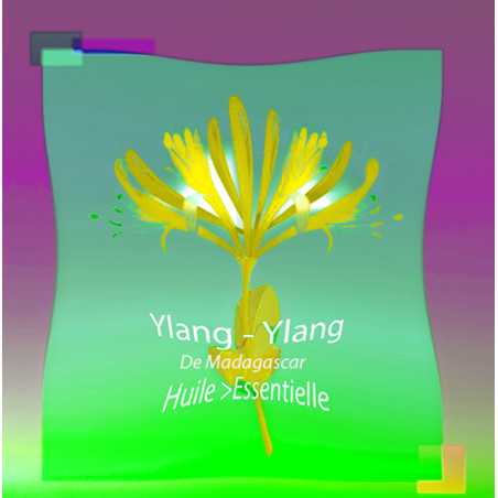Huile Essentielle Ylang Ylang de Madagascar - MONDO BOUGIES