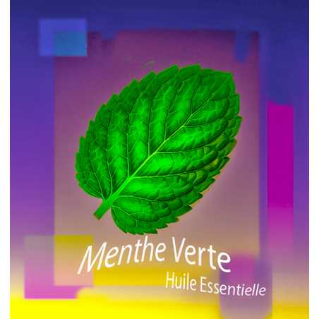 Huile Essentielle Menthe pour bougies - MONDO BOUGIES