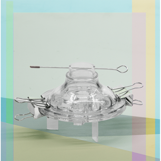 Moule pour bougies Nénuphar 70 x 40 mm - MONDO BOUGIES