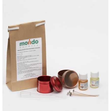 Kit de démarrage pour Bougie