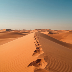 Parfum Rêve d'Orient Bougies - MONDO BOUGIES