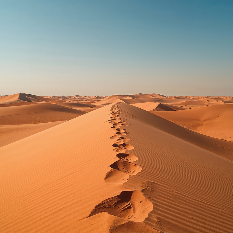 Parfum Rêve d'Orient Bougies - MONDO BOUGIES