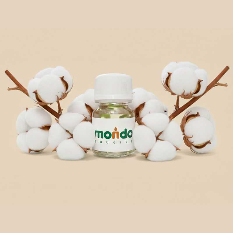 Parfum Fleur de Coton Bougies - MONDO BOUGIES